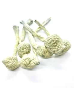 Where to buy magic mushrooms illinois